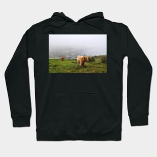 Highland cows on the misty coast of Islay, Scotland Hoodie